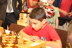 STEF8675