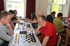 STEF3537