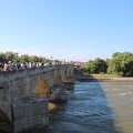 IMG 4292